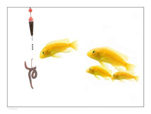 报关物流的实用技巧合集